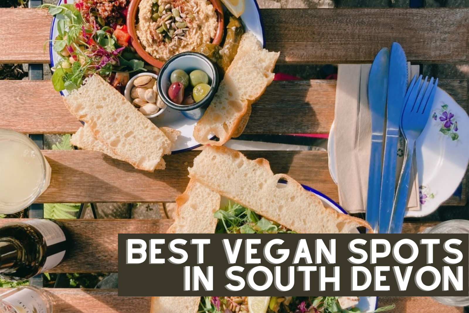 Vegan spots in South Devon